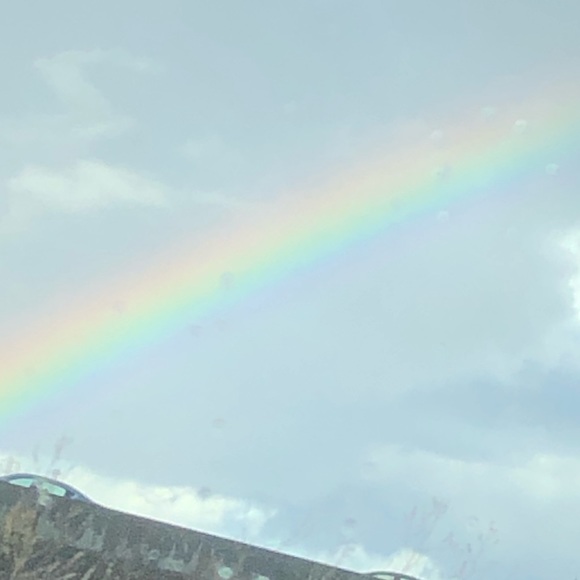 Meet your Posher, Bella - Picture 1 of 1